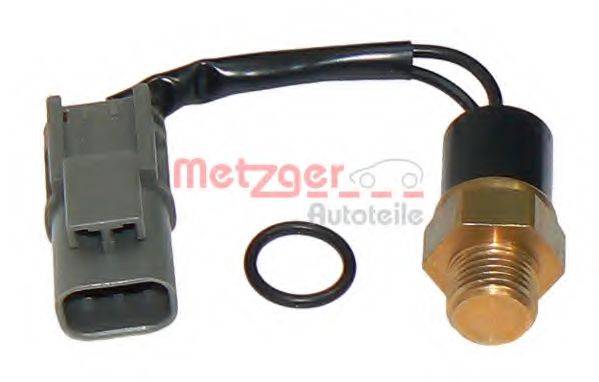 METZGER 0915219